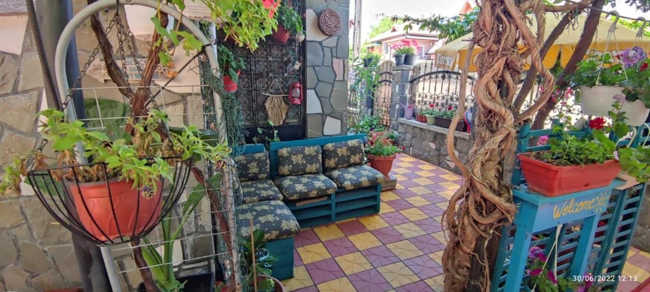 Vila Traian Si Teodora コスティネシュティ エクステリア 写真