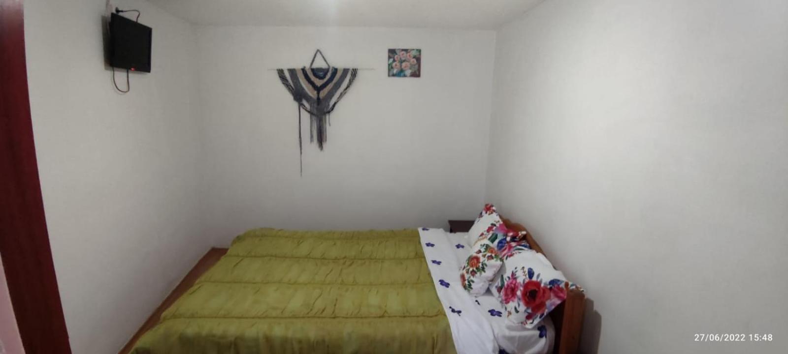 Vila Traian Si Teodora コスティネシュティ 部屋 写真